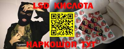 гидра Волгодонск