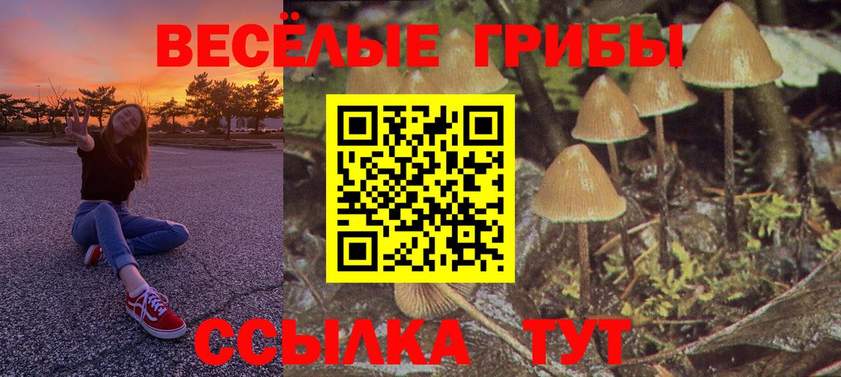 Псилоцибиновые грибы MAGIC MUSHROOMS Полысаево